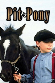 Pit Pony Pit Pony