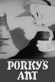 Porky's Ant Porky's Ant