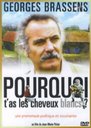 Pourquoi t'as les cheveux blancs...