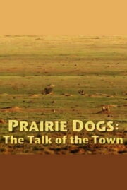 Prairie Dogs: Talk of the Town