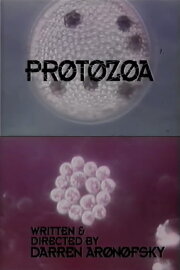Protozoa Protozoa