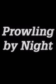 Prowling by Night Prowling by Night