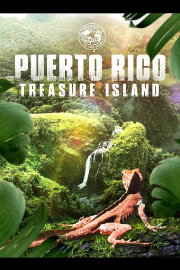 Puerto Rico: Treasure Island