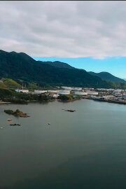 Pulsante: Um filme sobre a Baía do Araçá