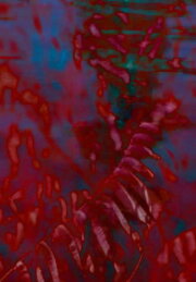Qualcosa di Rosso, Qualcosa di Blu (High Tide / Low Tide)