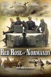 Red Rose of Normandy