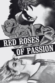 Red Roses of Passion