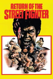 Return of the Street Fighter