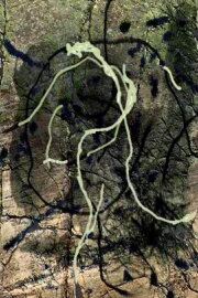 Rivière au tonnerre