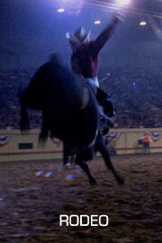 Rodeo Rodeo