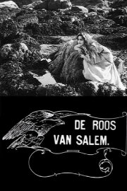 Rose o' Salem Town Rose o' Salem Town