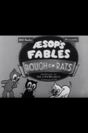 Rough on Rats Rough on Rats