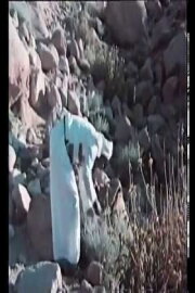 Saint Catherine's Physician Saint Catherine's Physician