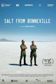 Salt from Bonneville