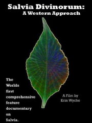 Salvia Divinorum: A Western Approach