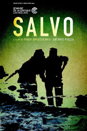 Salvo
