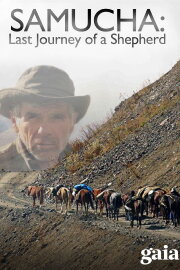 Samucha, un dernier été dans le Caucase Samucha, un dernier été dans le Caucase