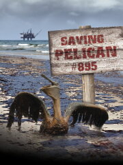 Saving Pelican 895 Saving Pelican 895