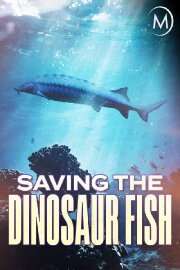 Saving the Dinosaur Fish