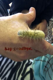 Say Goodbye Say Goodbye