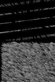 SCENE 13 – THE CROW SCENE 13 – THE CROW