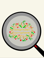 Schupfnudelcurrypfanne
