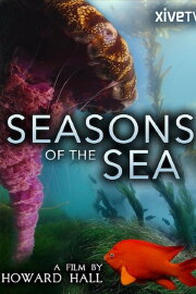 Seasons of the Sea: A Film by Howard Hall Seasons of the Sea: A Film by Howard Hall