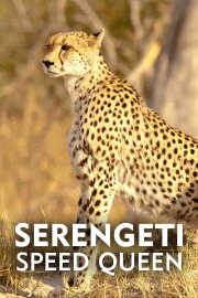 Serengeti Speed Queen