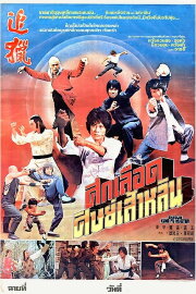 Shaolin Kung Fu Master