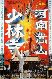 Shaolin Temple Strikes Back