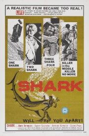 Shark Shark