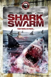 Shark Swarm