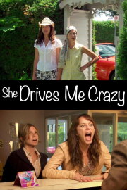 She Drives Me Crazy She Drives Me Crazy