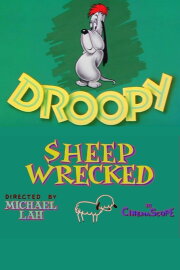 Sheep Wrecked Sheep Wrecked