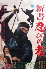 Shinobi no mono 8: The Three Enemies