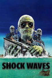 Shock Waves Shock Waves