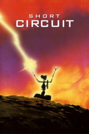 Short Circuit Short Circuit