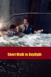 Short Walk to Daylight Short Walk to Daylight