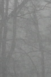 Snowfall and After Snowfall and After