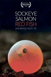 Sockeye Salmon. Red Fish Sockeye Salmon. Red Fish