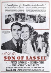 Son of Lassie