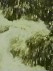 Song 3