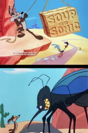 Soup or Sonic Soup or Sonic