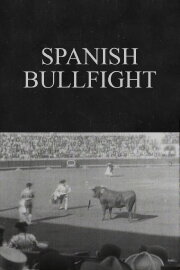 Spanish Bullfight Spanish Bullfight