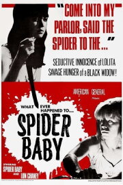 Spider Baby Spider Baby