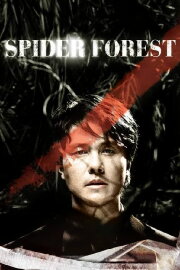 Spider Forest Spider Forest
