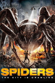 Spiders Spiders