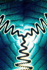 Spiral 5 PTL (Perhaps The Last) Spiral 5 PTL (Perhaps The Last)