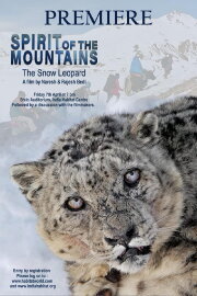 Spirit of the Mountains