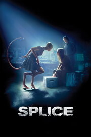 Splice Splice